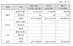 나노팀 자본금 변동사항